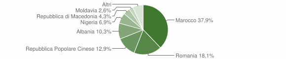 Grafico cittadinanza stranieri - Melara 2010