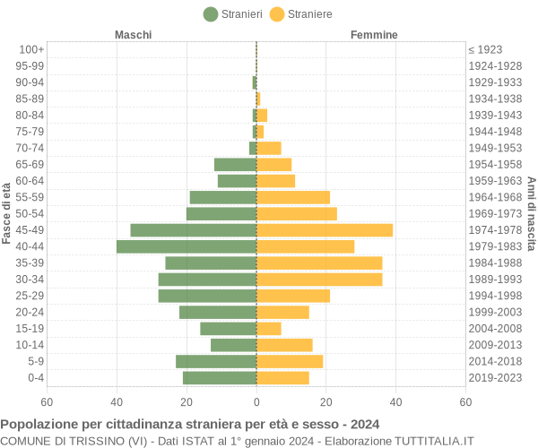 Grafico cittadini stranieri - Trissino 2024