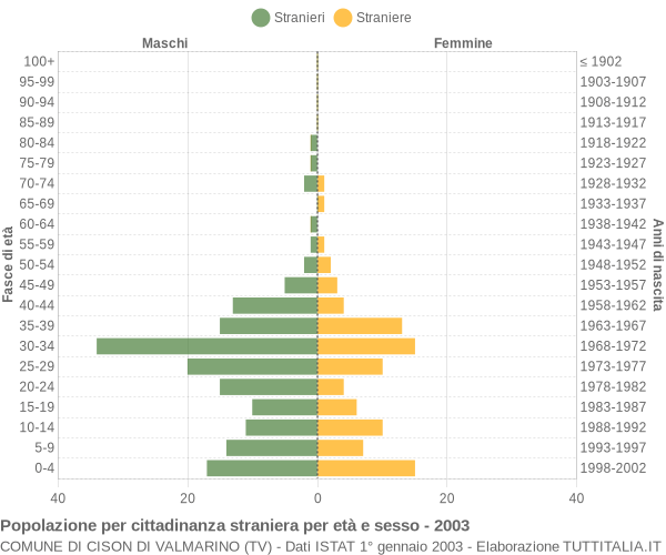 Grafico cittadini stranieri - Cison di Valmarino 2003