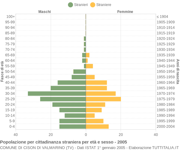 Grafico cittadini stranieri - Cison di Valmarino 2005