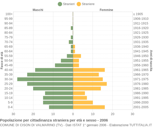 Grafico cittadini stranieri - Cison di Valmarino 2006