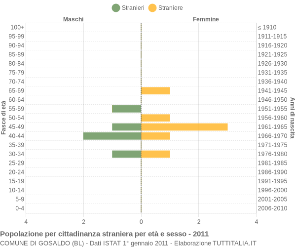 Grafico cittadini stranieri - Gosaldo 2011