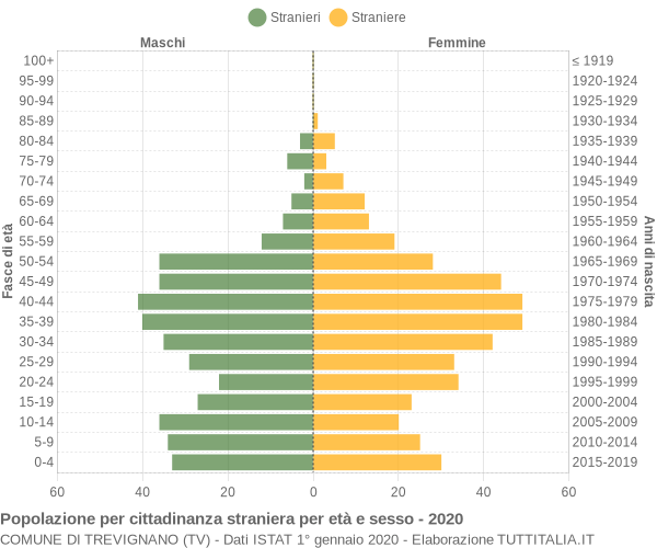 Grafico cittadini stranieri - Trevignano 2020