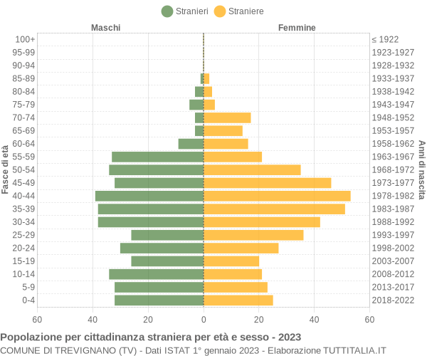 Grafico cittadini stranieri - Trevignano 2023