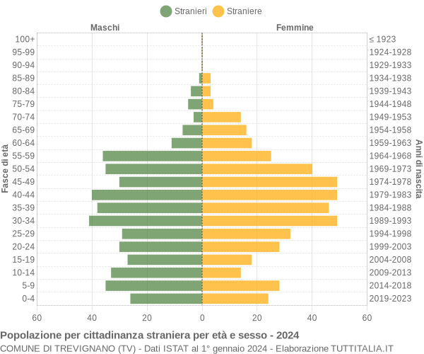 Grafico cittadini stranieri - Trevignano 2024