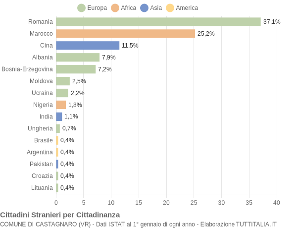 Grafico cittadinanza stranieri - Castagnaro 2017