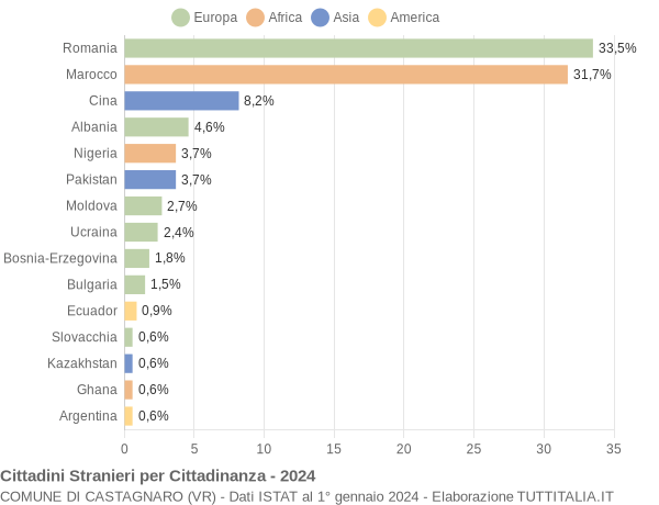 Grafico cittadinanza stranieri - Castagnaro 2024