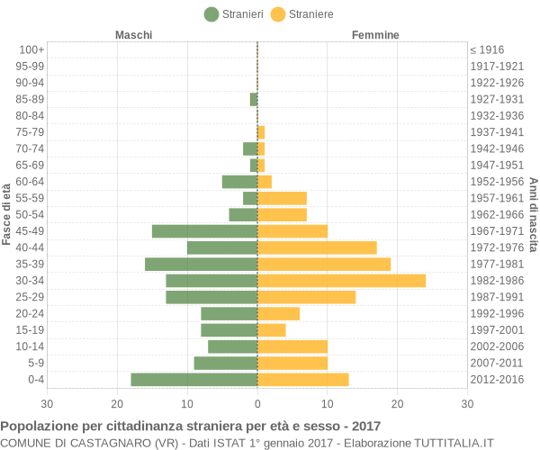 Grafico cittadini stranieri - Castagnaro 2017