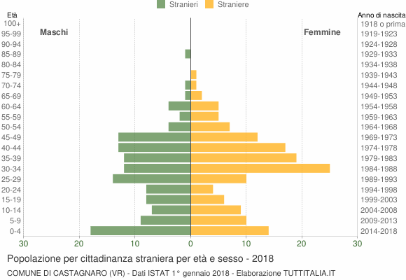 Grafico cittadini stranieri - Castagnaro 2018