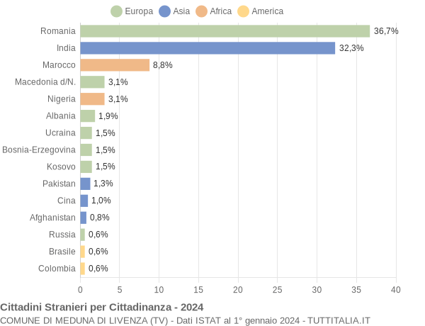 Grafico cittadinanza stranieri - Meduna di Livenza 2024