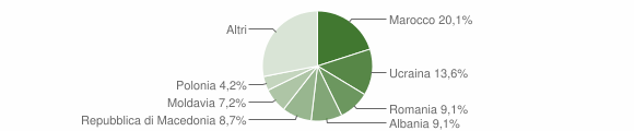 Grafico cittadinanza stranieri - Pieve di Cadore 2016