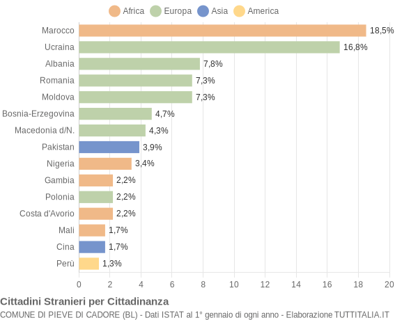 Grafico cittadinanza stranieri - Pieve di Cadore 2019