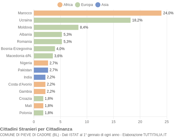 Grafico cittadinanza stranieri - Pieve di Cadore 2020