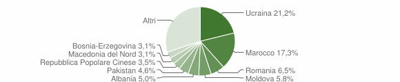Grafico cittadinanza stranieri - Pieve di Cadore 2023