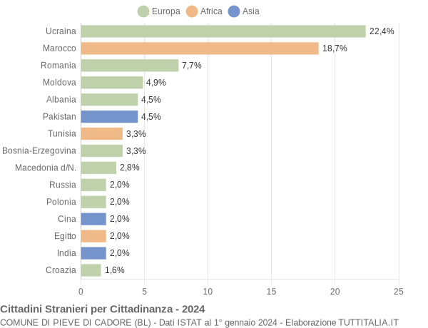 Grafico cittadinanza stranieri - Pieve di Cadore 2024