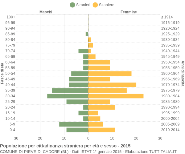 Grafico cittadini stranieri - Pieve di Cadore 2015