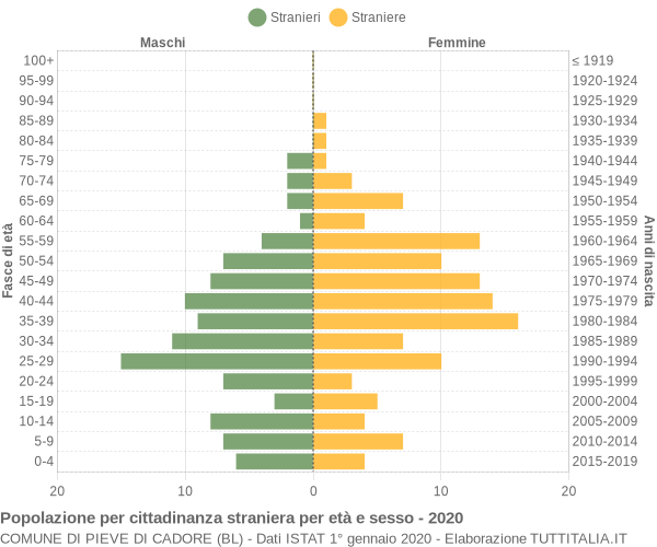 Grafico cittadini stranieri - Pieve di Cadore 2020