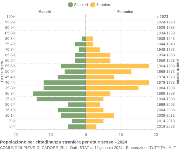 Grafico cittadini stranieri - Pieve di Cadore 2024