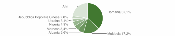 Grafico cittadinanza stranieri - Rubano 2011