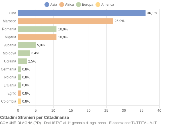 Grafico cittadinanza stranieri - Agna 2006