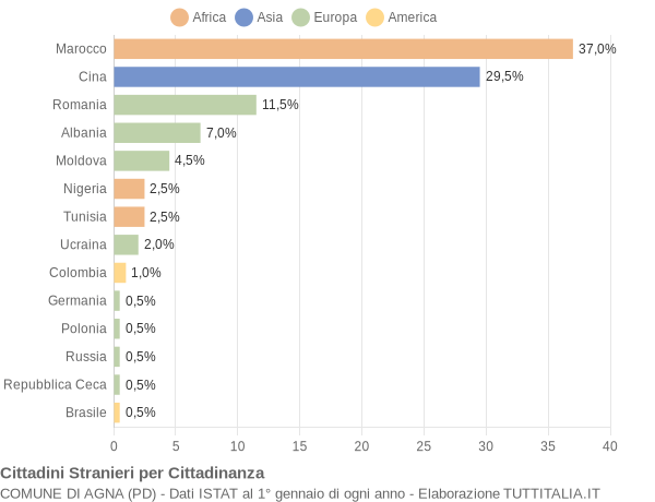 Grafico cittadinanza stranieri - Agna 2010