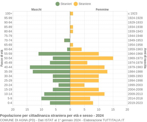 Grafico cittadini stranieri - Agna 2024