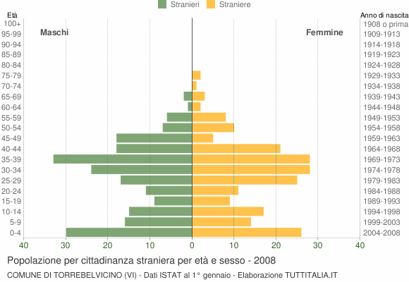 Grafico cittadini stranieri - Torrebelvicino 2008