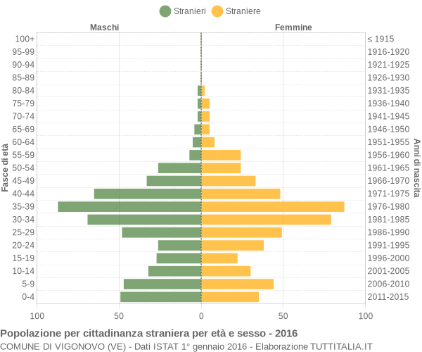 Grafico cittadini stranieri - Vigonovo 2016