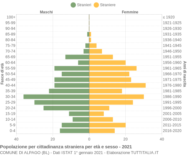 Grafico cittadini stranieri - Alpago 2021