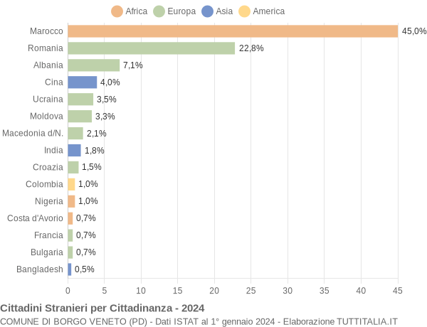 Grafico cittadinanza stranieri - Borgo Veneto 2024