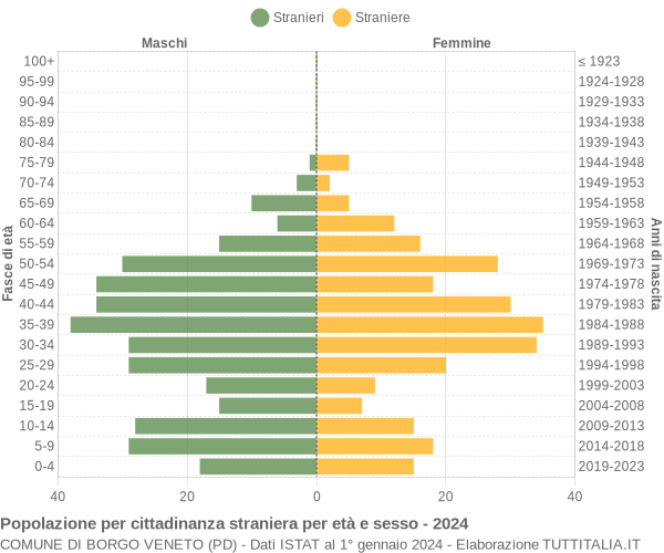 Grafico cittadini stranieri - Borgo Veneto 2024