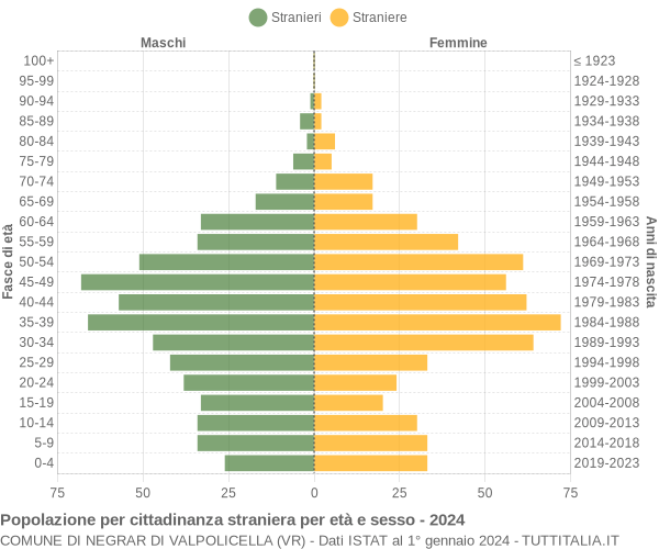 Grafico cittadini stranieri - Negrar di Valpolicella 2024