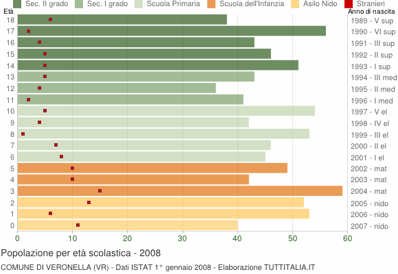Grafico Popolazione in età scolastica - Veronella 2008