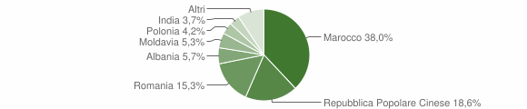Grafico cittadinanza stranieri - Lendinara 2012