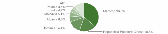 Grafico cittadinanza stranieri - Lendinara 2013