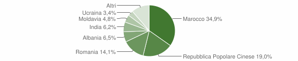 Grafico cittadinanza stranieri - Lendinara 2015