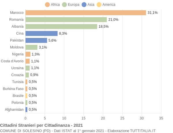 Grafico cittadinanza stranieri - Solesino 2021