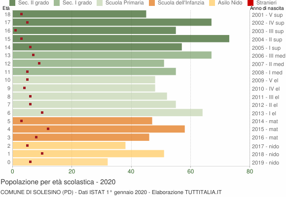 Grafico Popolazione in età scolastica - Solesino 2020