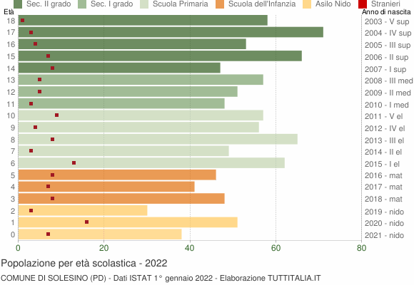 Grafico Popolazione in età scolastica - Solesino 2022