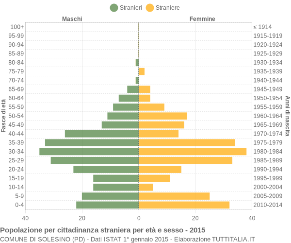 Grafico cittadini stranieri - Solesino 2015