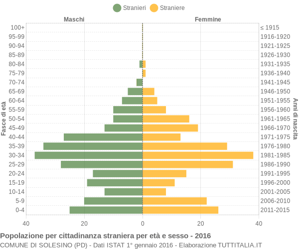 Grafico cittadini stranieri - Solesino 2016