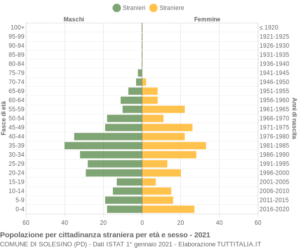 Grafico cittadini stranieri - Solesino 2021