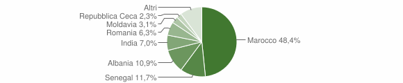 Grafico cittadinanza stranieri - Bonavigo 2007