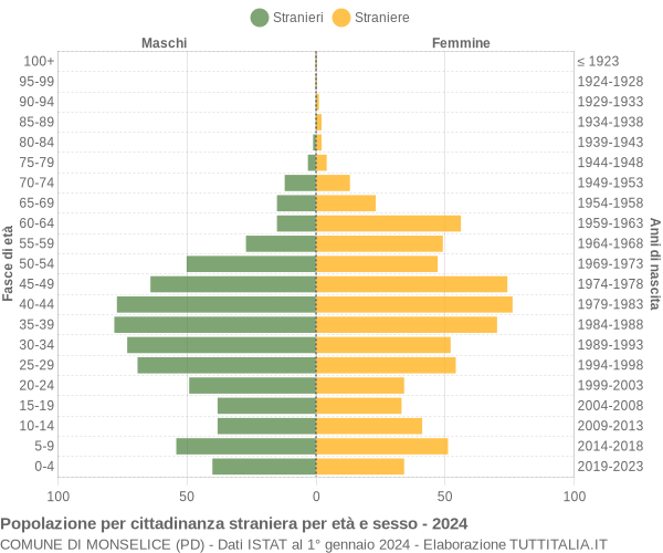 Grafico cittadini stranieri - Monselice 2024