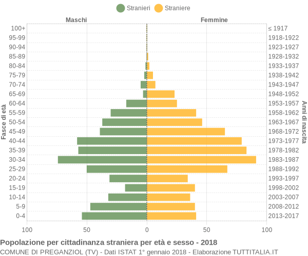 Grafico cittadini stranieri - Preganziol 2018