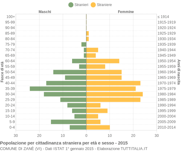 Grafico cittadini stranieri - Zanè 2015