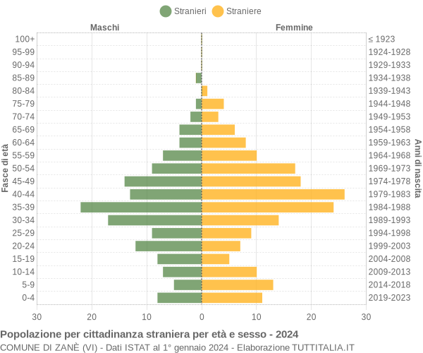 Grafico cittadini stranieri - Zanè 2024