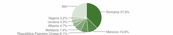 Grafico cittadinanza stranieri - Pianiga 2009