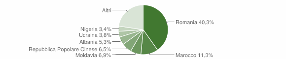 Grafico cittadinanza stranieri - Pianiga 2010