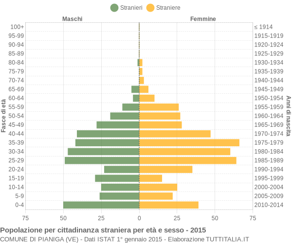 Grafico cittadini stranieri - Pianiga 2015